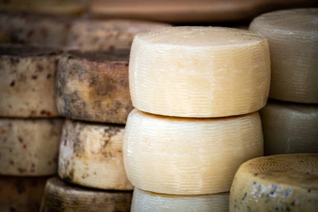 Pecorino Sardo Maturo D.O.P. - FORMA INTERA