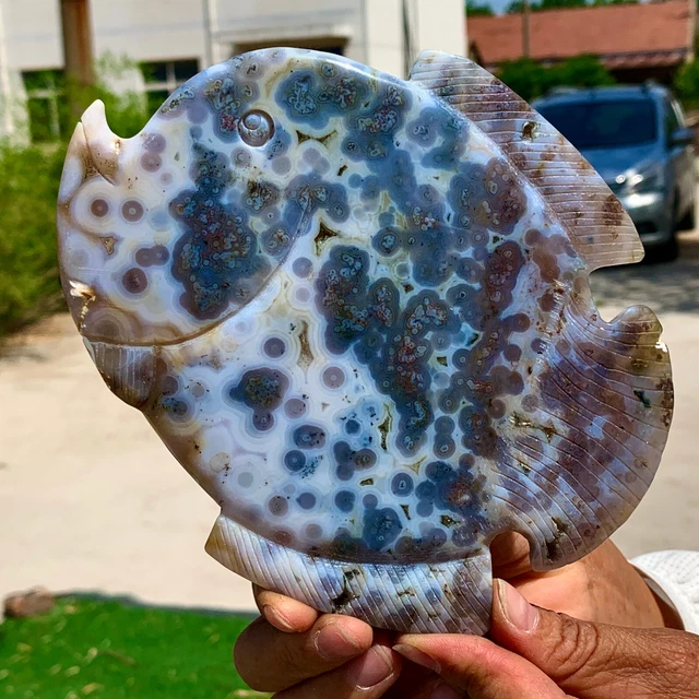345G Amazing Natural Ocean Jasper Crystal Carved Fish Jasper Halo Stone