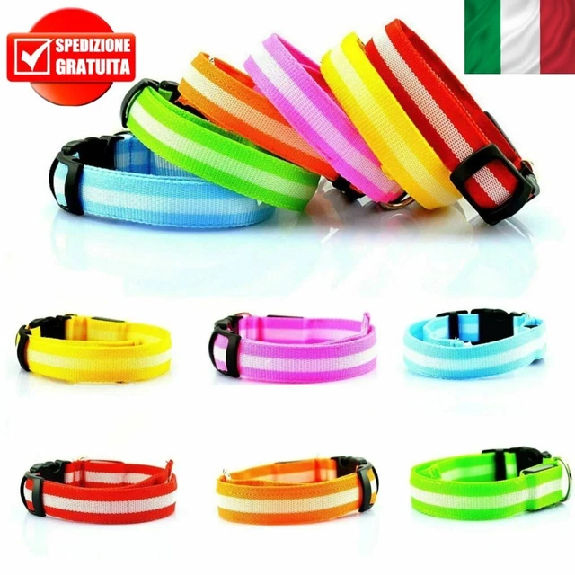 ITayga Collare Luinoso Per Cani Ricaricabile Collare LED Cane Luinoso
