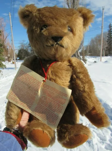 VINTAGE TEDDY BEAR Butterscotch Gold Beige West Germany Althans Le 15 ...