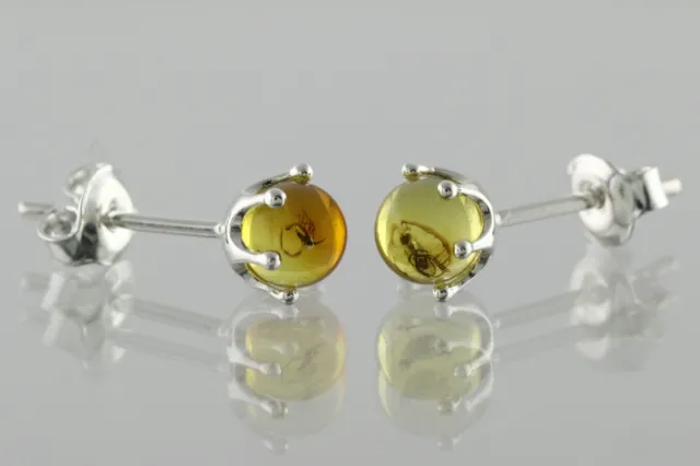 Fossil Insects BALTIC AMBER Round Beads Spheres Silver Earrings 1g 200402-6