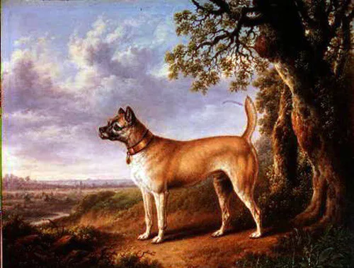 Oil painting Charles Towne animal dog A Terrier on a path in a wooded landscape