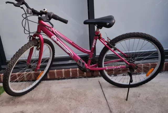 Southern star clearance ladies bike
