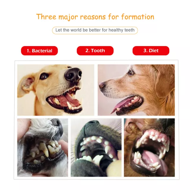 Raspador de dientes para perro removedor de sarro para mascotas profesional diferentes ángulos