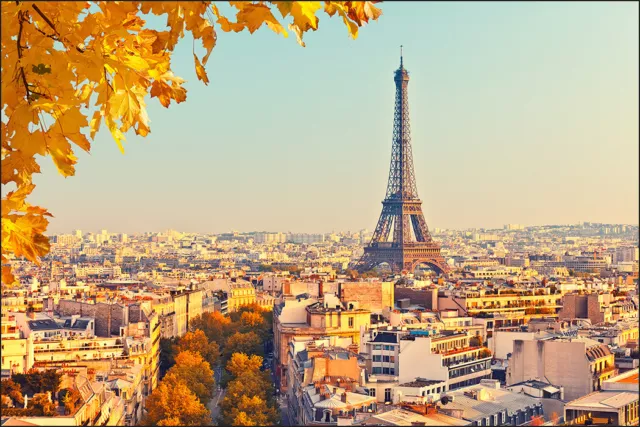 VINYL Fototapete XXL TAPETE Paris Eiffelturm 453