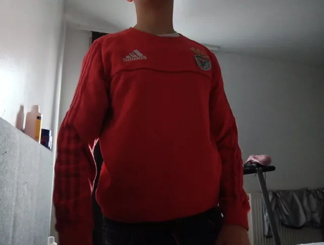 Benfica Pullover