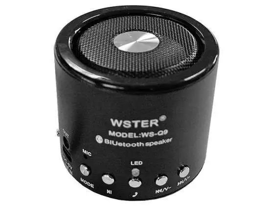 Speaker Bluetooth Mini Cassa Amplificata Radio Fm Lettore Mp3 Vivavoce Telefono