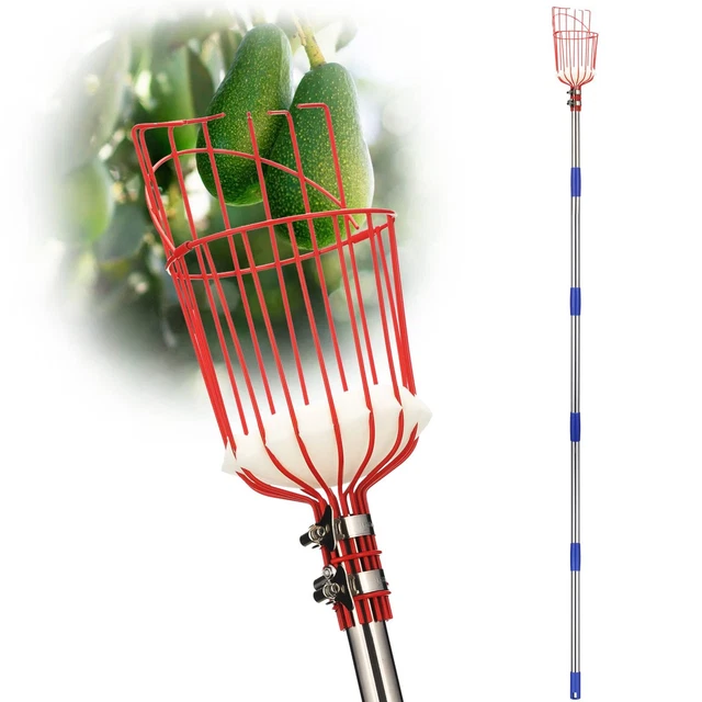 Fruit Picker Pole Tool with Basket Telescoping Long Handle, 35-65