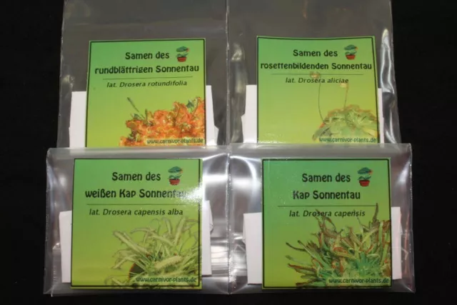 Fleischfressende Pflanzen 4 x 100 unterschiedliche Drosera Samen! - Sonnentau