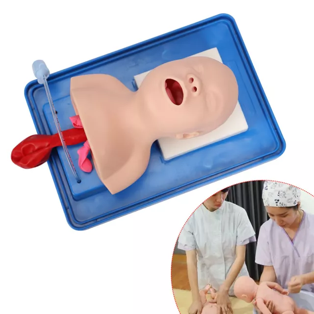 Laboratory Intubation Manikin Teaching Model Airway Management Trainer PVC New