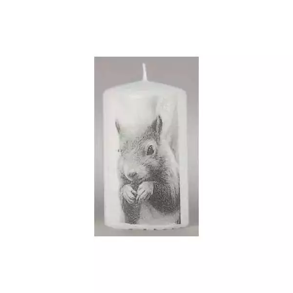 2er Pack Kerzen Safe Candle H. 10cm D. 6cm Eichhörnchen Richard Wenzel Kerzen