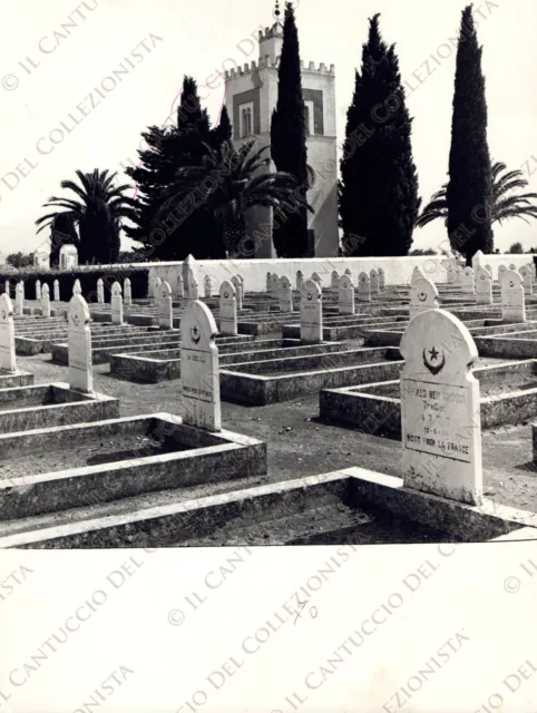1971 VENAFRO cimitero guerra francese 1943 marocchini caduti Isernia Fotografia