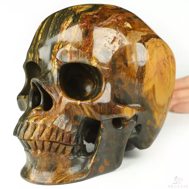 Super Realistic! Lifesized 6.9" Tiger Iron Eye Hand Carved Crystal Skull Super Realistic! Lifesized 6.9" Tiger Iron Eye Hand Carved Crystal Skull