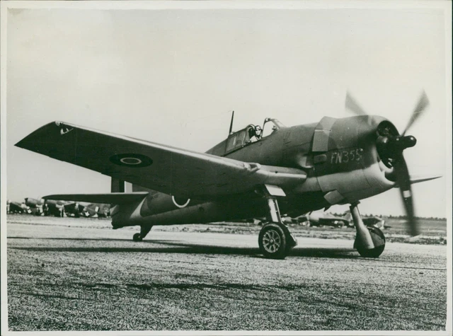 Grumman Hellcat Aircraft - Vintage Photograph 1931430