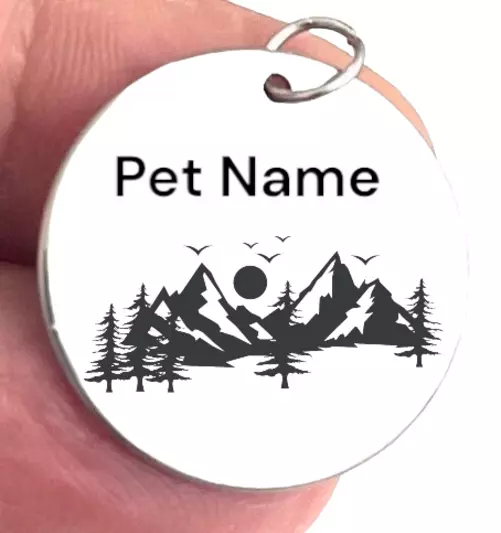 Stainless Steel CUSTOM LASER ENGRAVED PERSONALIZED PET TAG ID DOG CAT NAME TAGS