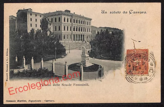 ag7866 - CARTOLINA D'EPOCA - Massa Carrara Città -Palazzo delle Scuole Femminili