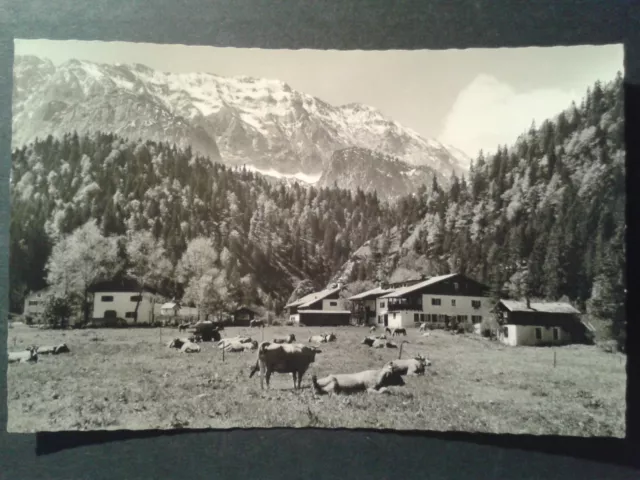 Ansichtskarten, Gästehaus ALPENGUT ELMAU, s/w gelaufen