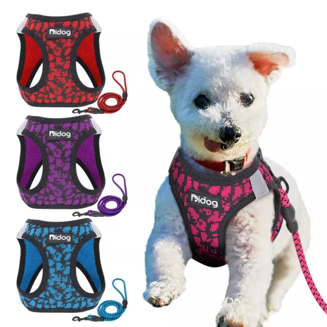 No Pull Dog harness and Leash set Breathable Reflective for Puppy Small Dogs