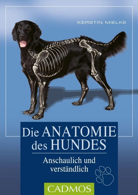 Die Anatomie des Hundes Anschaulich und verständlich Kerstin Mielke Taschenbuch