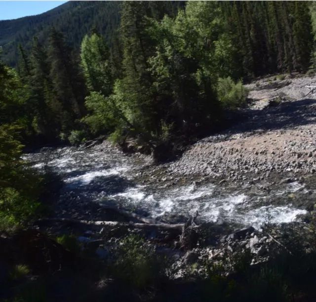 20 Acre Gold Mining Claim (Placer) "Clear Creek" Chaffee County Colorado