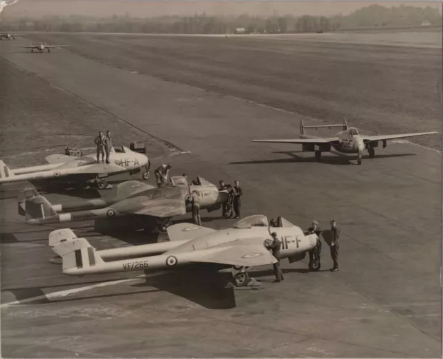 De Havilland Vampire F.1 Line Up Large Original Vintage Press Photo Dh.100