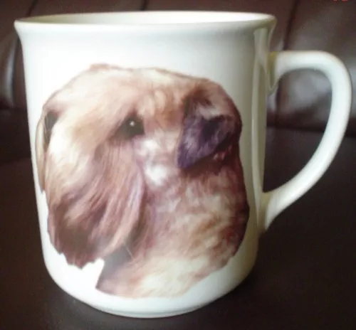 Lovely Norfolk China Wheaten Terrier Ceramic Mug