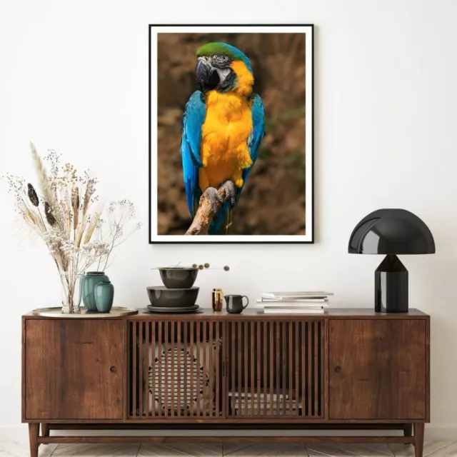 Bird on Tree Photograph Print Premium Poster High Quality choose sizes