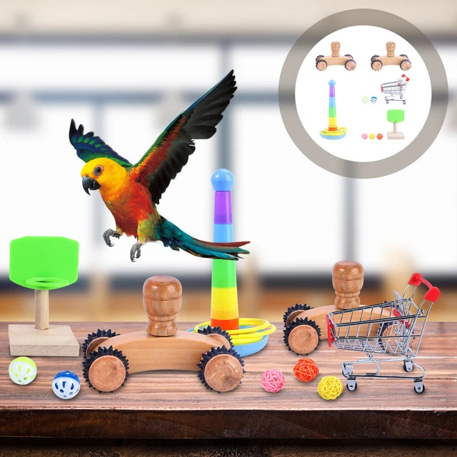 1 Satz Vogel Intellektuelle Spielzeug Kit Trainingsbildung Spielzeug Haustier