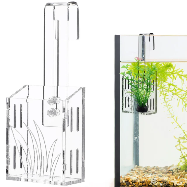 FISH BONE IMPLANT Cup Acrylic Hanging Wall Planters Tank Aquatic Holder