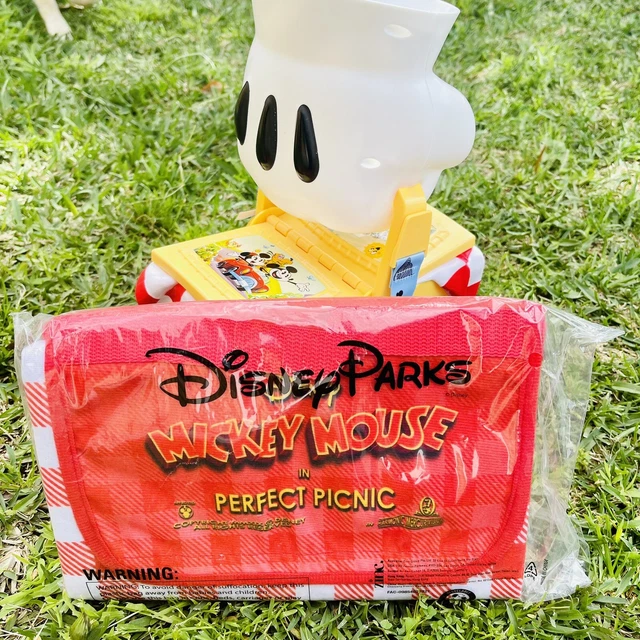DISNEYLAND TOON TOWN ReOpening Perfect Picnic Basket & Blanket + Bonus