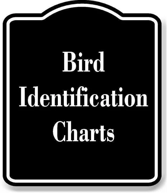 BIRD IDENTIFICATION CHARTS BLACK Aluminum Composite Sign £12.54 ...