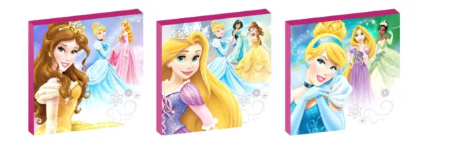 DISNEY PRINCESS b SET OF 3 WALL ART PLAQUES/CANVAS PICTURES