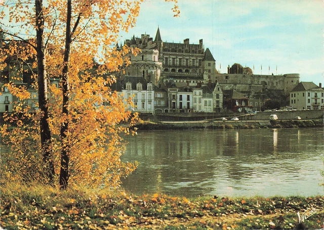 Carte Postale Ancienne - Château D'Amboise - Val De Loire