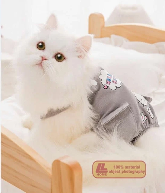 Mascota gato cachorro perro ropa linda mascota gris en general primavera y otoño peluche clavado