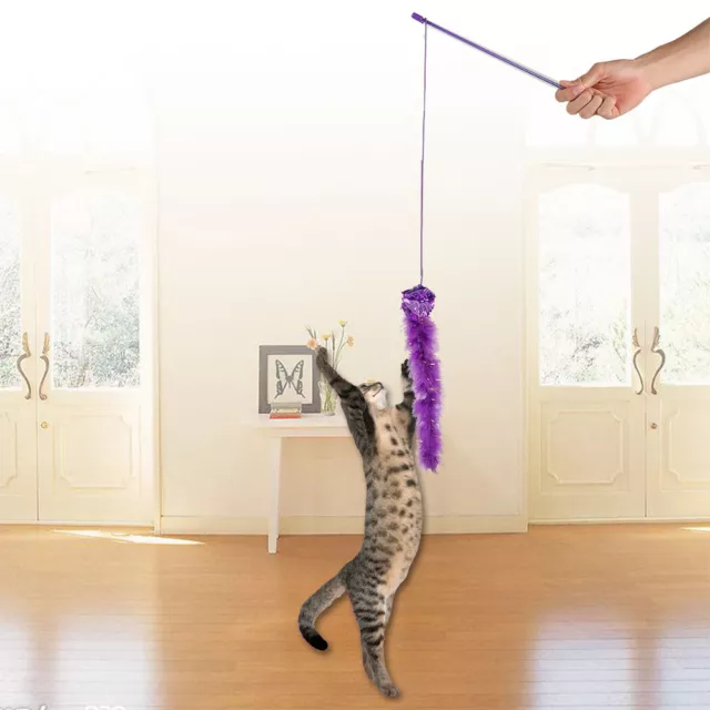 Cat Funny Toy Teaser Chaser Kitten Toy Stick Wand Avec Feather Crackle Desig Qcs 2