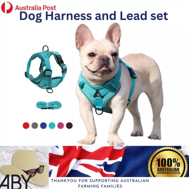 Small Dog Harness Lead Set Reflective Nylon No Pull Adjustable Pet Vest Puppy AU