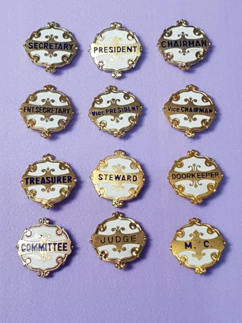 Vintage Club Pin Badge Gold look & White enamel 12 types Captain president Judge