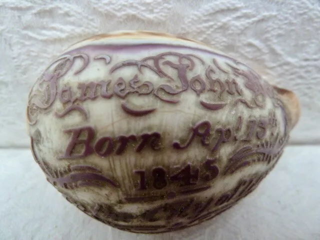 Antique carved cowrie shell "James John Webley born Apr 15th 1845 City of London