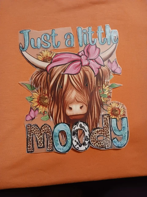 thumbnail interactive-video image 1 of Just A Little Moody Moody Highland Cow Graphic By Digital Click Store 1 of 11