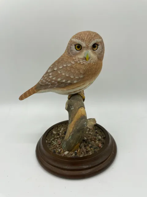 Ferruginous Pygmy Owl Original Wood Carving