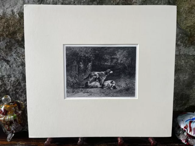 Dogs in the Forest, Original Lithograph  A Mouilleron After N Diaz c. 1850