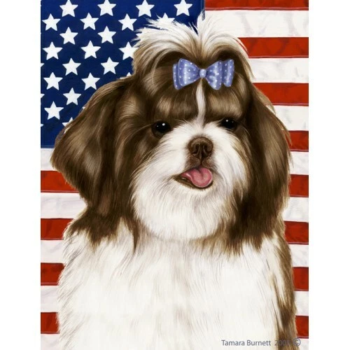 Patriotic (D2) Garden Flag - Brown and White Shih Tzu 321751