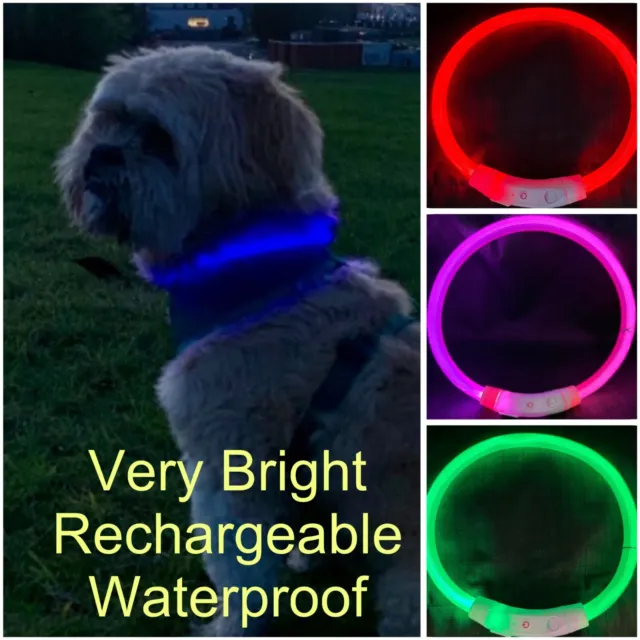 Light Up Dog Collar Pet Flashing LED USB Rechargeable Safety Size Adjustable UK