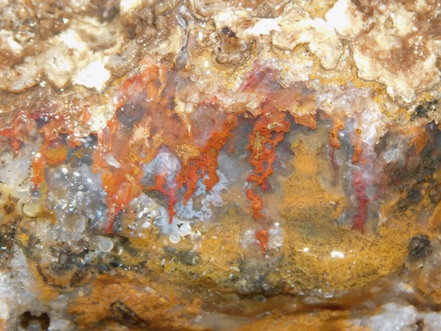 botryoidal Plume Agate lapidary cabbing rough chunk San Carlos Mexico 4 lb 4 oz
