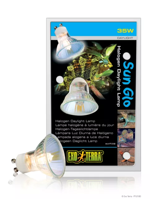 Exo Terra Sun Glo Halogen Spot / Halogen-Tageslichtlampe 35w GU10 Fassung