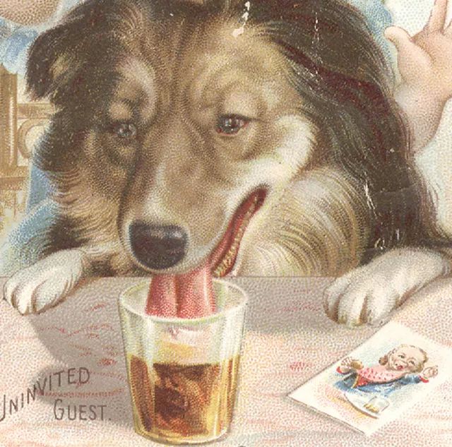 HIRES' ROOT BEER TRADE CARD, BIG DOG & SAD BOY, & HIRES' COUGH CURE, 25c  Z242