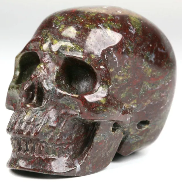 2.0" Dragon Bloodstone Carved Crystal Skull, Realistic, Crystal Healing