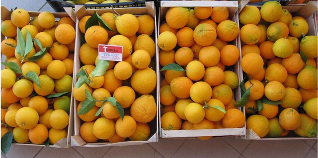 Arance di Sicilia bio bionda Navel da spremuta mangiare ottime cassetta 10kg