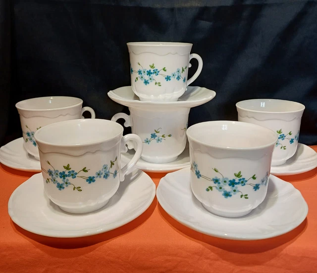 Lot 6 Tasses Et Sous-tasses Arcopal Myosotis – Petit-déjeuner