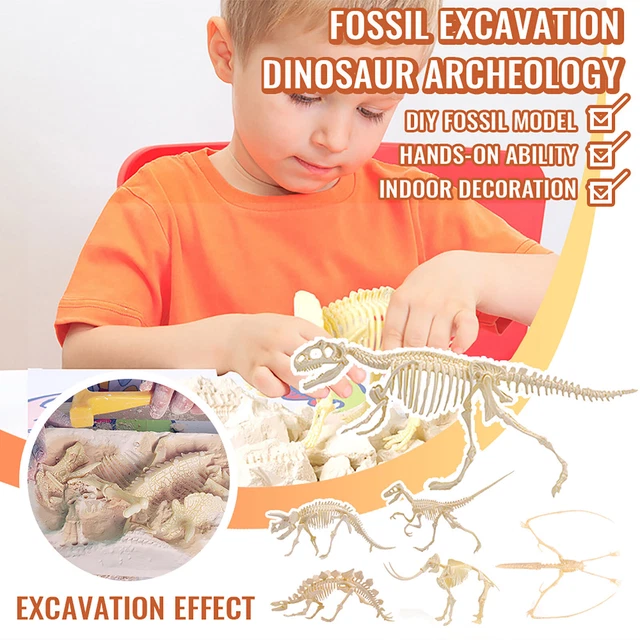 Kit Scavo Dinosauri Simulazione Archeologia Scavo Fossili Bambini Imparano